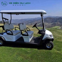 Xe điện sân golf Leroad L4
