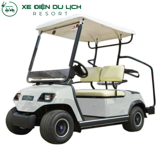 Xe điện sân golf 2 chỗ LVTONG LT-A2