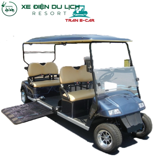 Xe điện chở bệnh nhân EAGLE - EG2068T