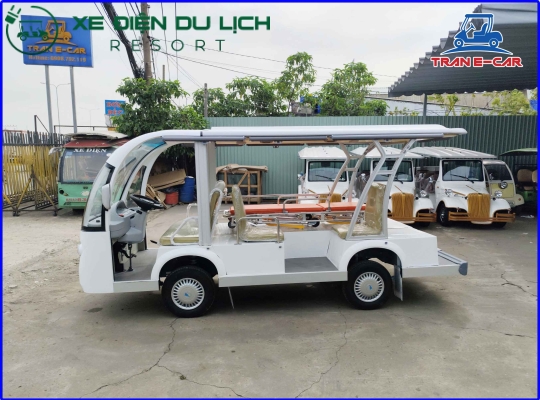 Xe điện chở bệnh nhân EAGLE - EG6088T03
