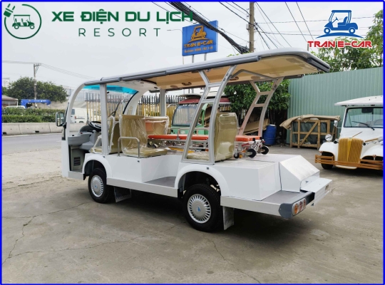 Xe điện chở bệnh nhân EAGLE - EG6088T03